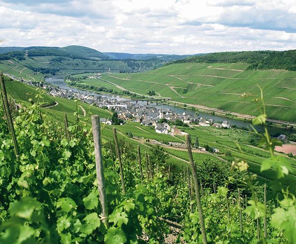 Weinberghotel Nalbach Reil Esterno foto